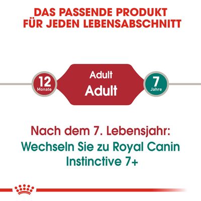 Royal Canin Instinctive in Soße