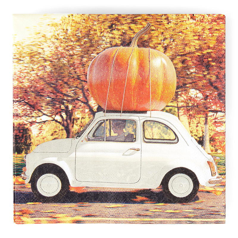 Vie Eco Servietter 20-pk 33x33 cm