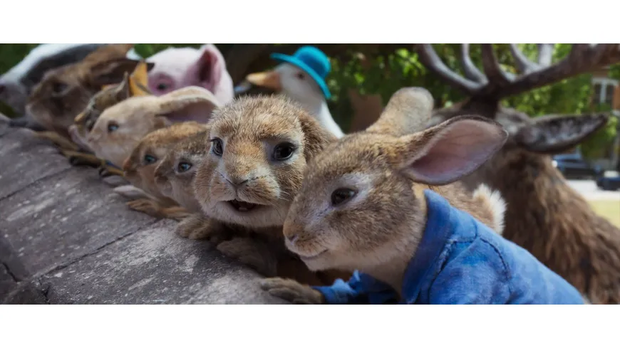 Peter Hase 2 - Ein Hase macht sich vom Acker