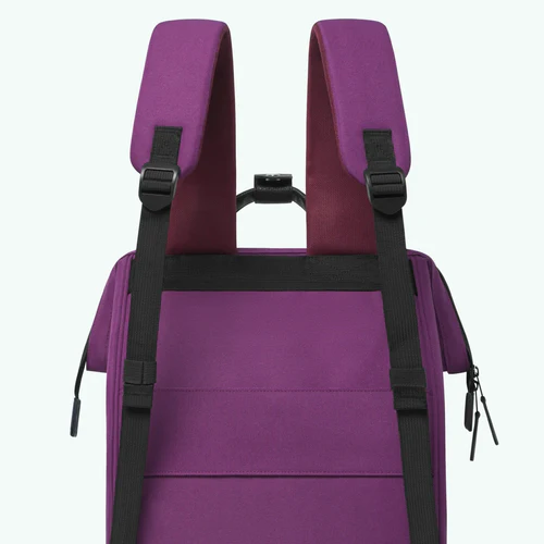 Adventurer Large Backpack Singapore Purple