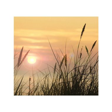 liwwing Fototapete Fototapete Sonnenaufgang Sonne Feld Romantisch liwwing no. 206, Pflanzen