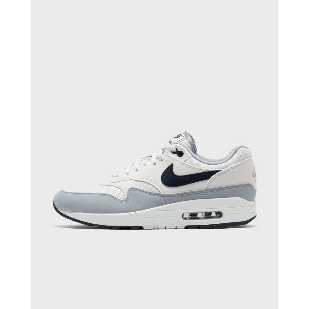 Nike Air Max 1 FD9082-002 / grau