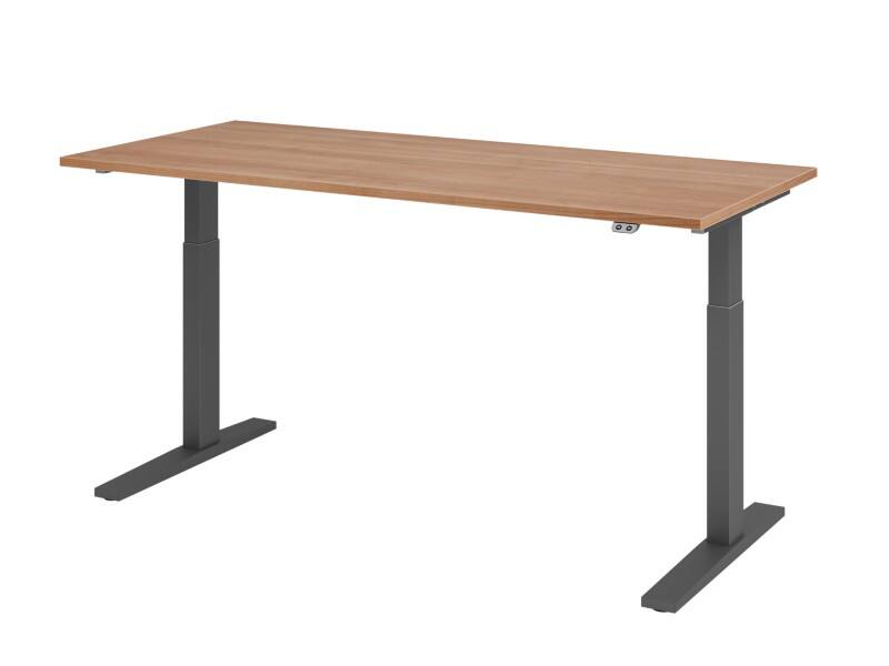 Hammerbacher Steh-Sitz-Schreibtisch VXMKA19/N/G Walnuss 1800 mm x 800 mm