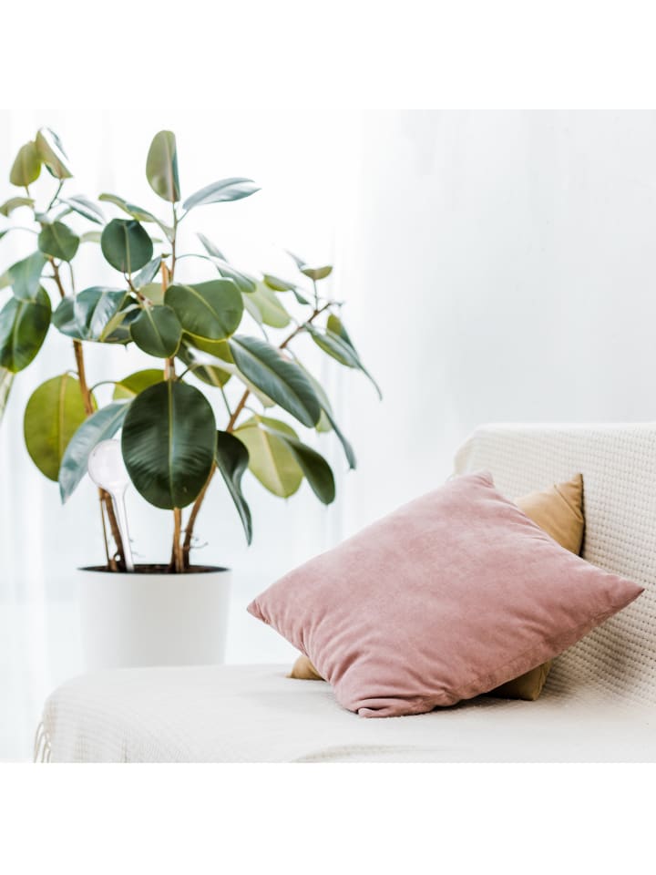 relaxdays 4x Bewässerungskugeln in Transparent günstig kaufen onesize