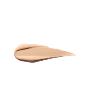 Shiseido Synchro Skin Self-Refreshing Concealer-5.8 ml
