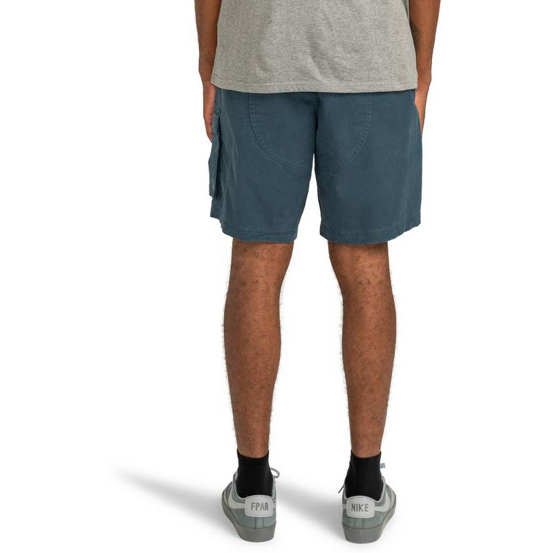 Element Pull Up Travel Shorts Herren