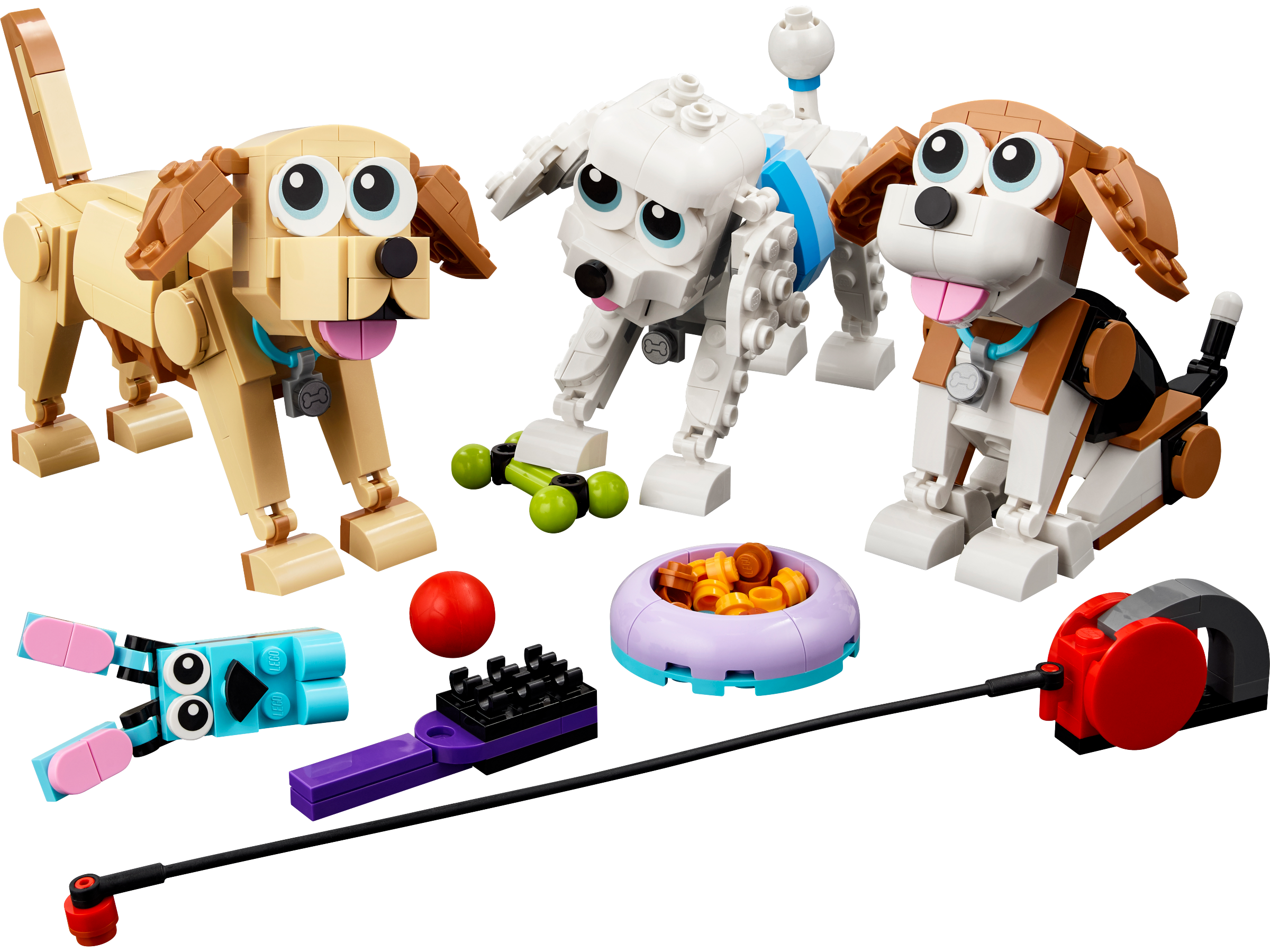 Niedliche Hunde 31137