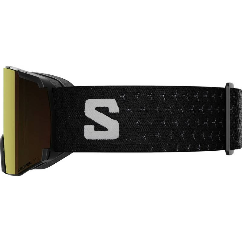 Salomon S/VIEW PHOTOCHROMIC Skibrille