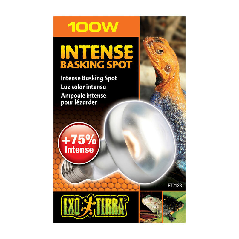 Exo Terra Beleuchtung Exo Terra Intense Basking Spot 100 W