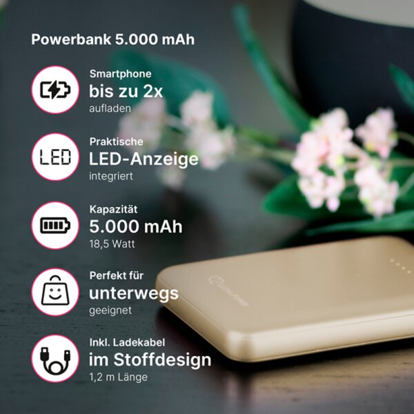 Lotta Power Powerbank Smartphoneaccessoire