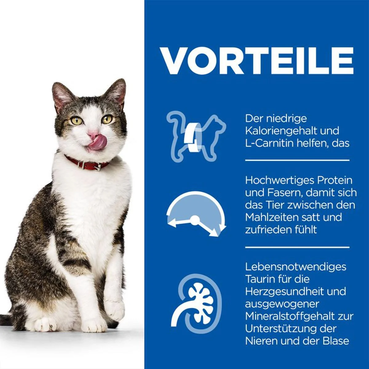 Hill's Science Plan Katze Light 7+ Huhn 1,5kg kaufen