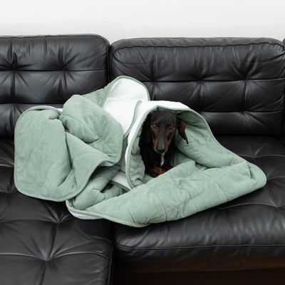 Modern Living Hundedecke Victoria