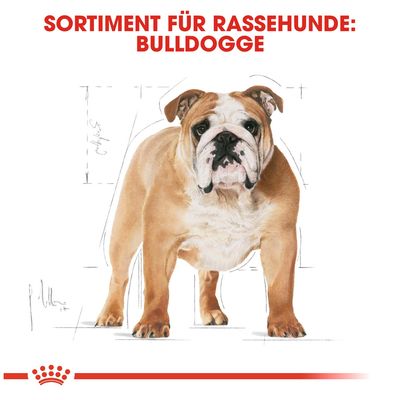 Royal Canin Bulldog Adult