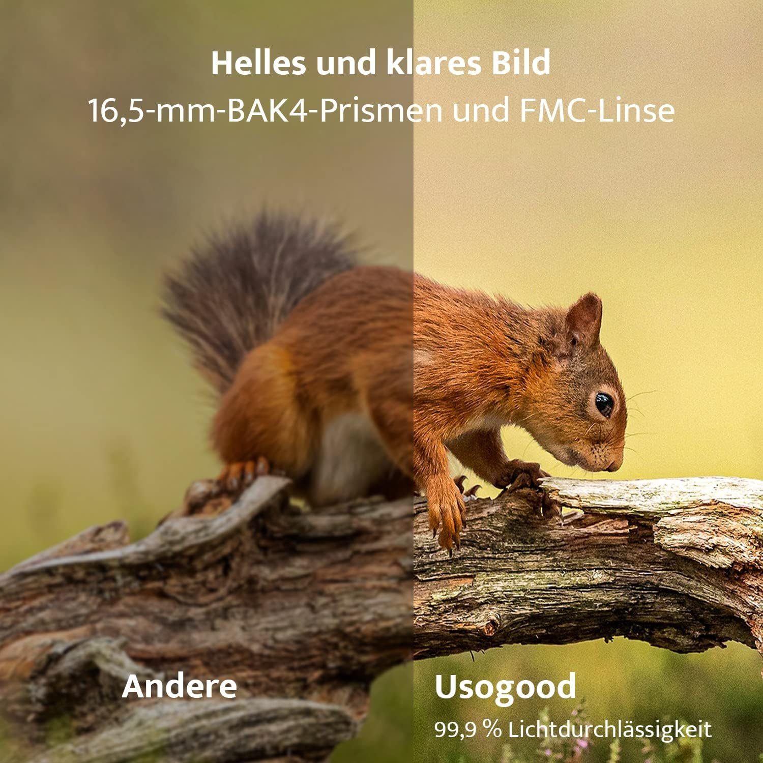 Usogood 10x50 Fernglas für Erwachsene HD Kompaktes Fernglas, BaK4-Prismen, Fernglas (Vogelbeobachtung,Wandern, Safari,FMC-Objektiv,Mit Smartphone-Adapter)