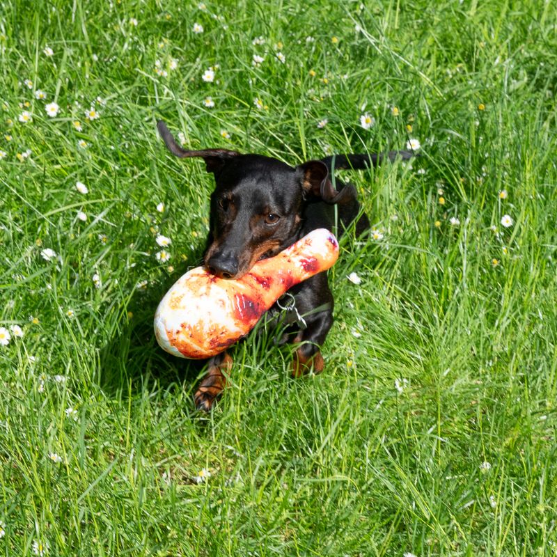 TIAKI Hundespielzeug Hühnerkeule zu TOP-Preisen