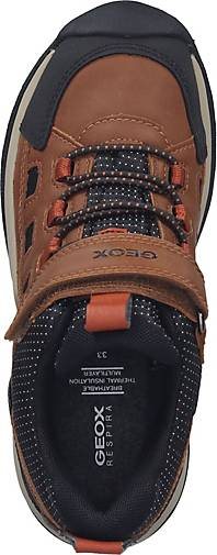 Geox Sneaker