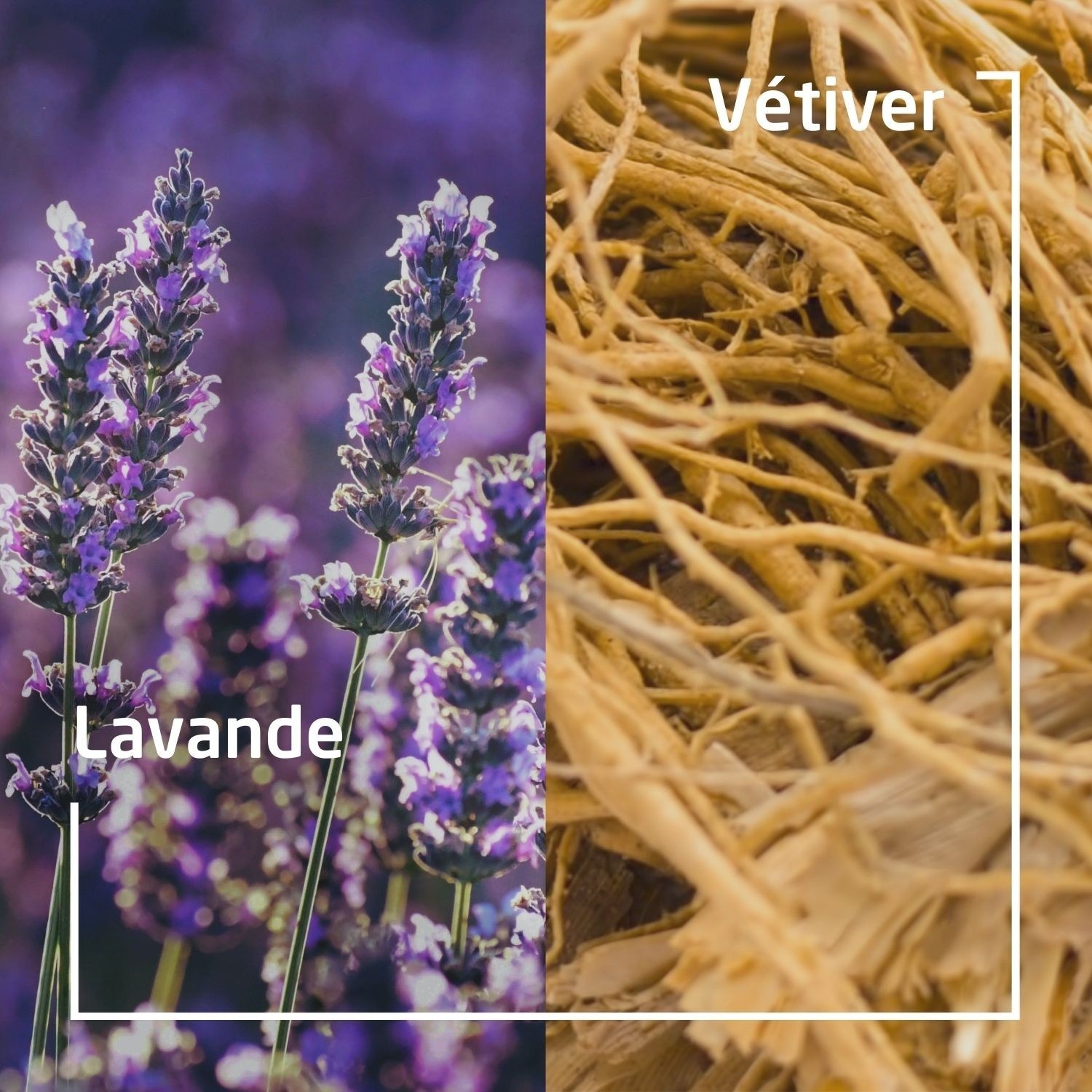 Weleda Solid Plant-Based Shower Gel LAVENDER + VETIVER - 75g