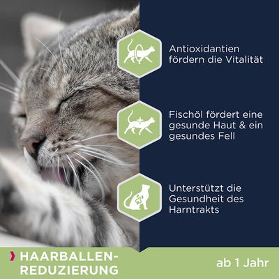 Eukanuba Hairball Control Adult