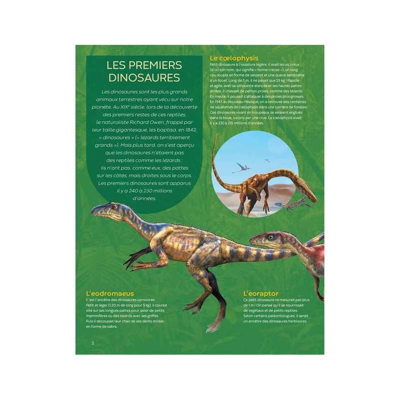 Livre Les Dinosaures - Fleurus