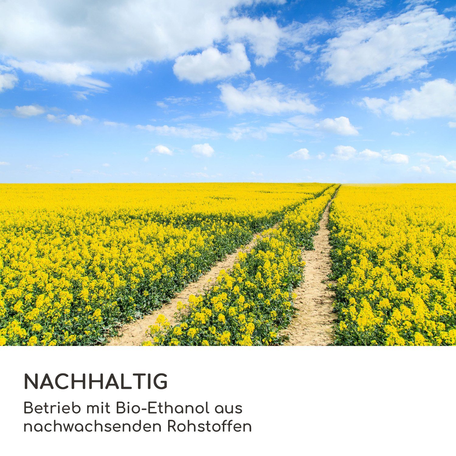 Blumfedt Echtfeuer-Dekokamin Fiamme Camino Ethanol-Kamin