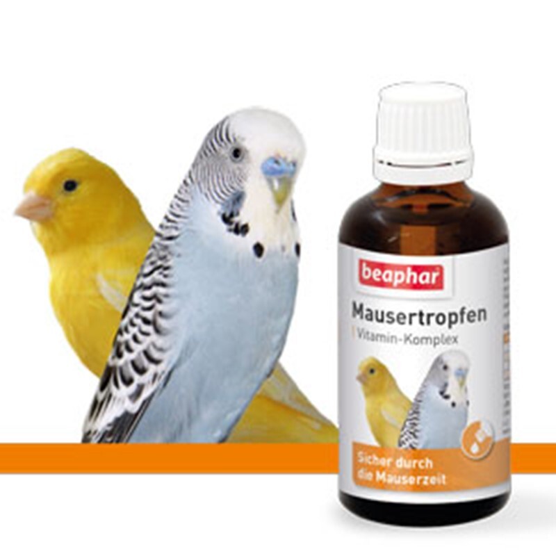 Beaphar Ergänzungsfutter Beaphar Mausertropfen, 50ml