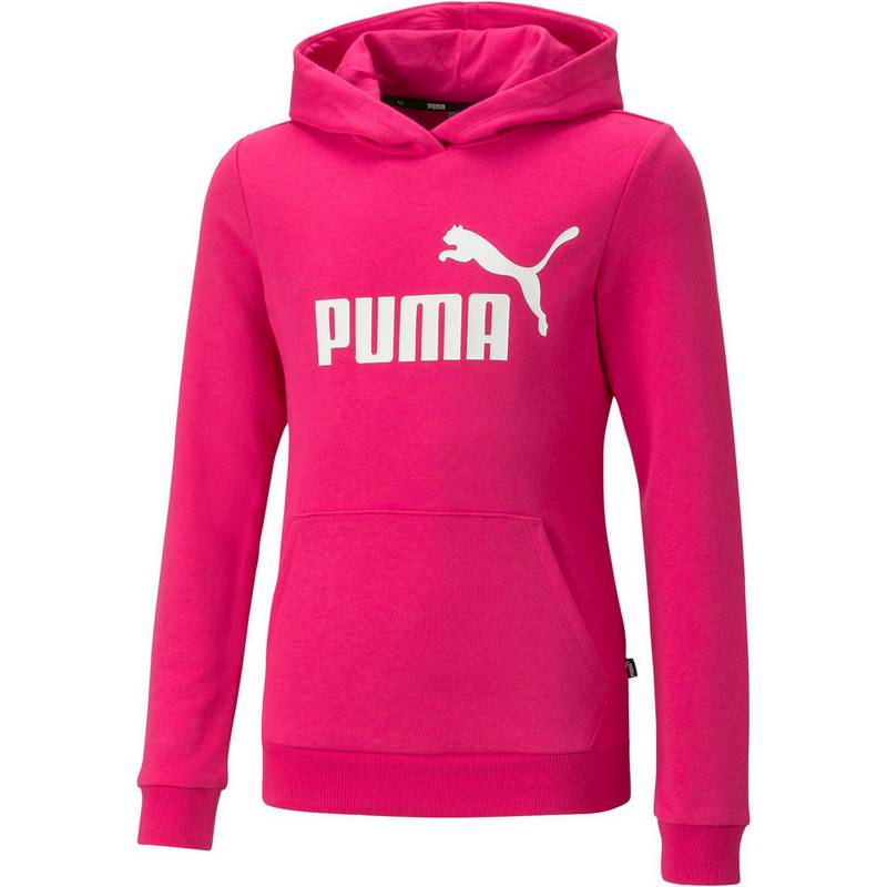PUMA ESSENTIALS LOGO Hoodie Mdchen