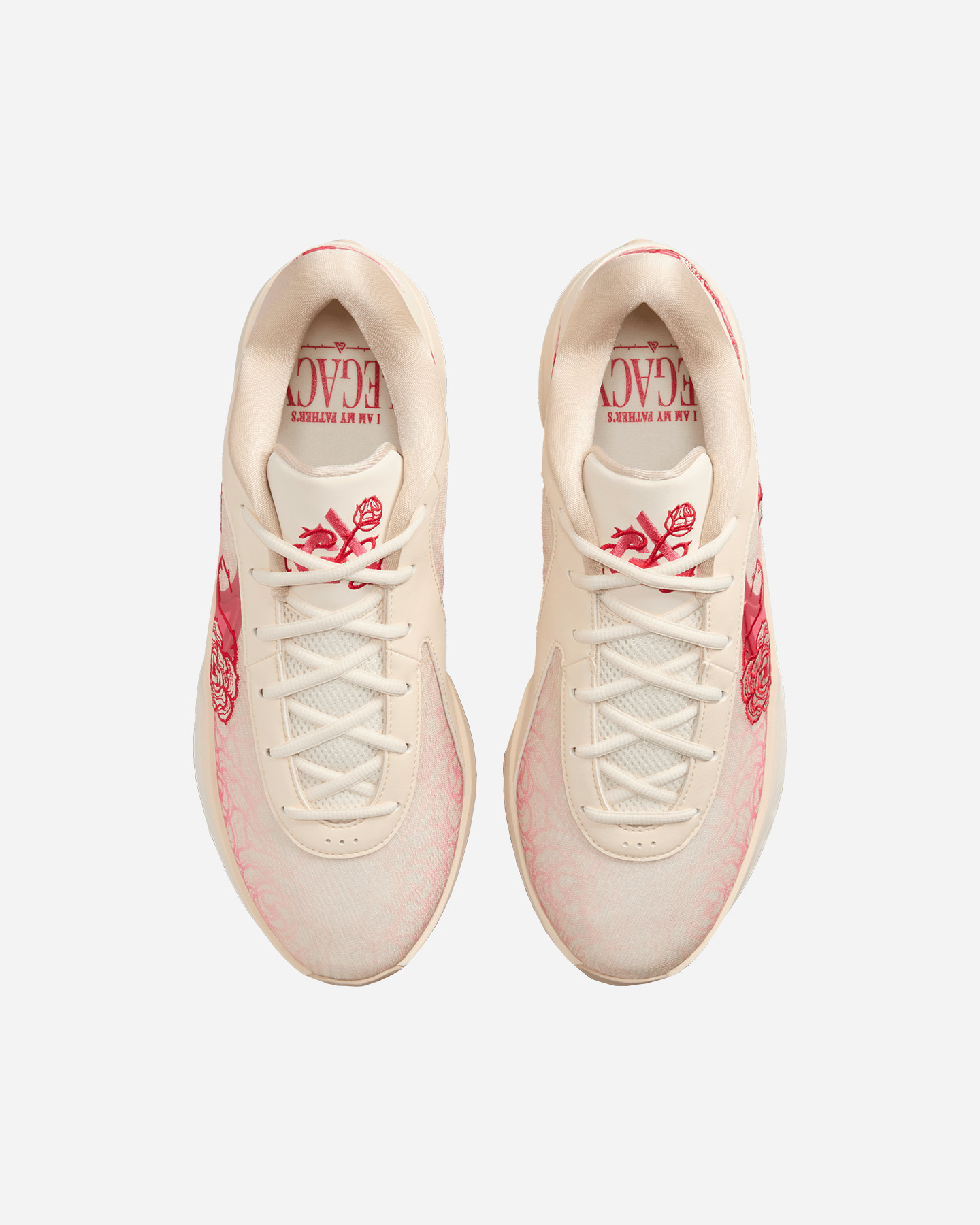 Skor Nike Zoom Freak 6 M FV1295-100
