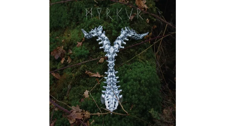 Spine