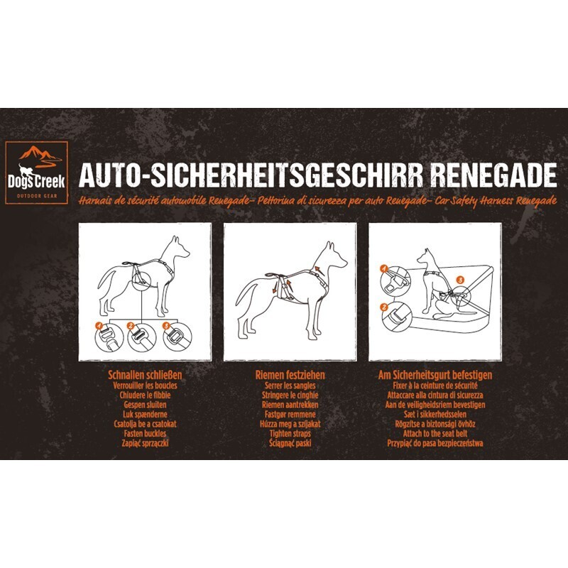 Dogs Creek Hundegeschirre Dogs Creek Auto-Sicherheitsgeschirr Renegade M