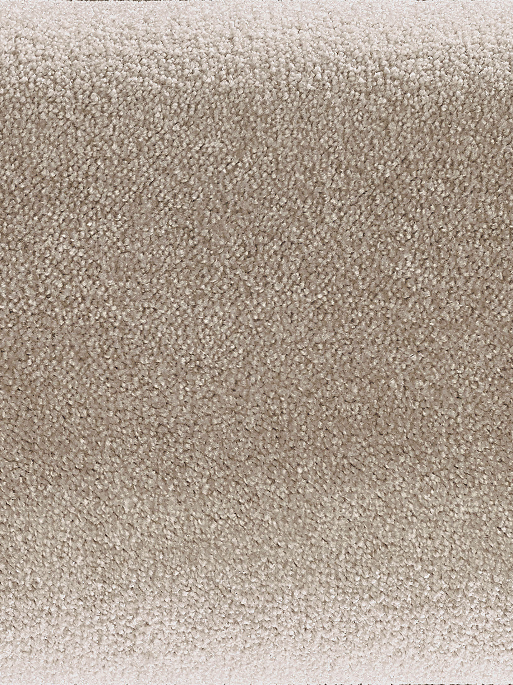 Emotion Velours-Teppichboden, Desert 37
