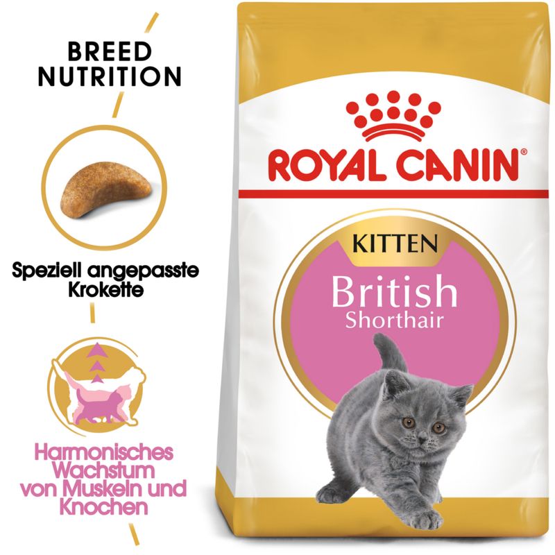 Royal Canin British Shorthair Kitten