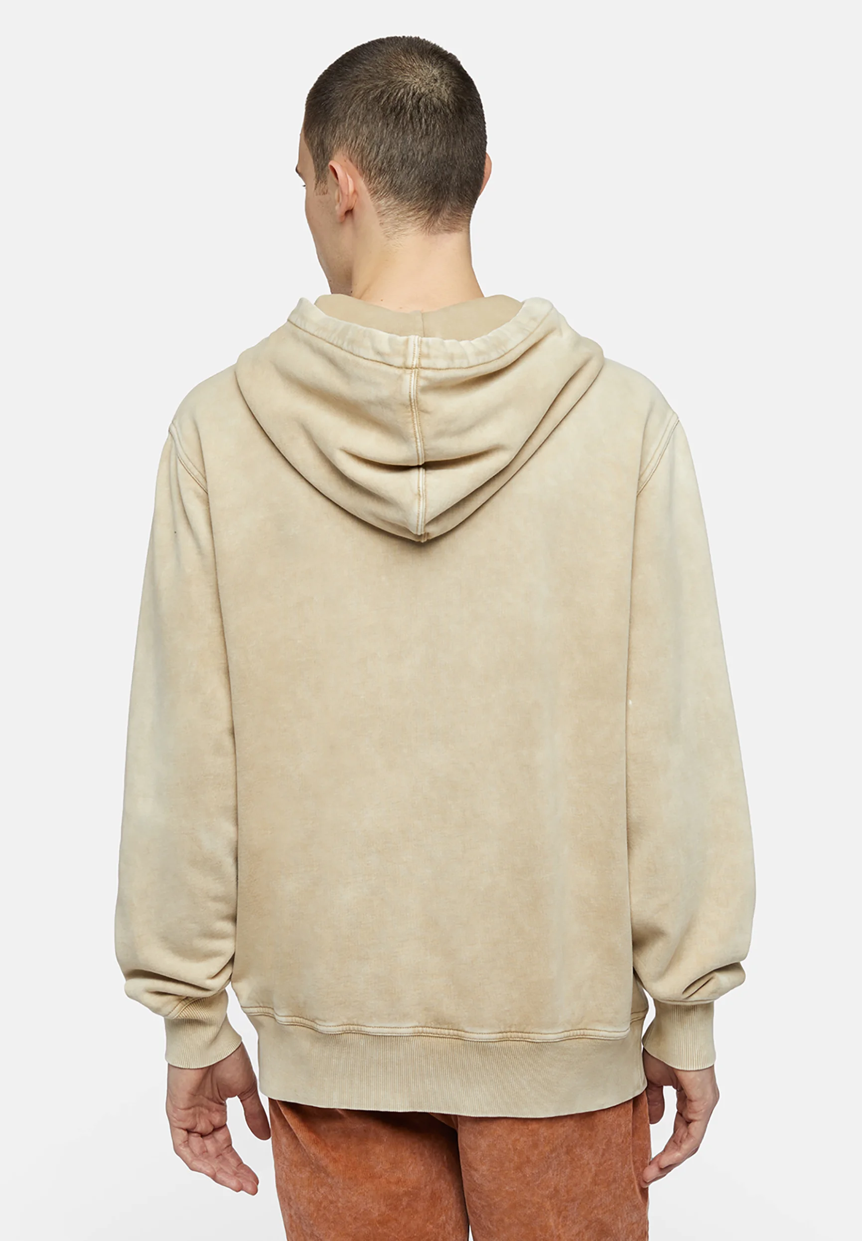 Dickies NEWINGTON - Sudadera con capucha