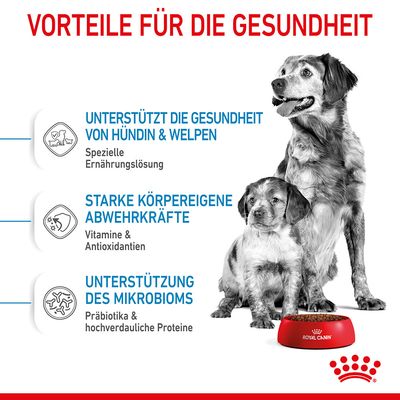 Royal Canin Medium Starter Mother & Babydog