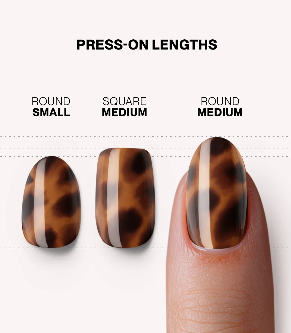 2007 Kilpikonnan kosketus