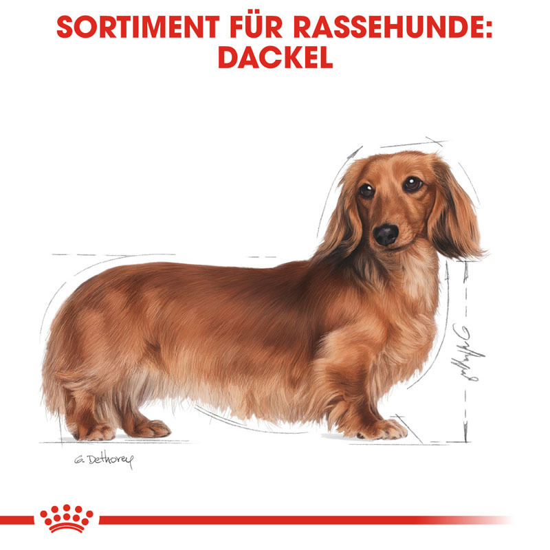 ROYAL CANIN Hundetrockenfutter ROYAL CANIN Dachshund Adult 7,5 kg