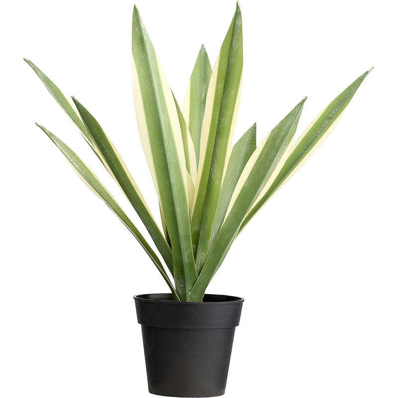 Home Maguey 40 cm kunstig sukkulent plante