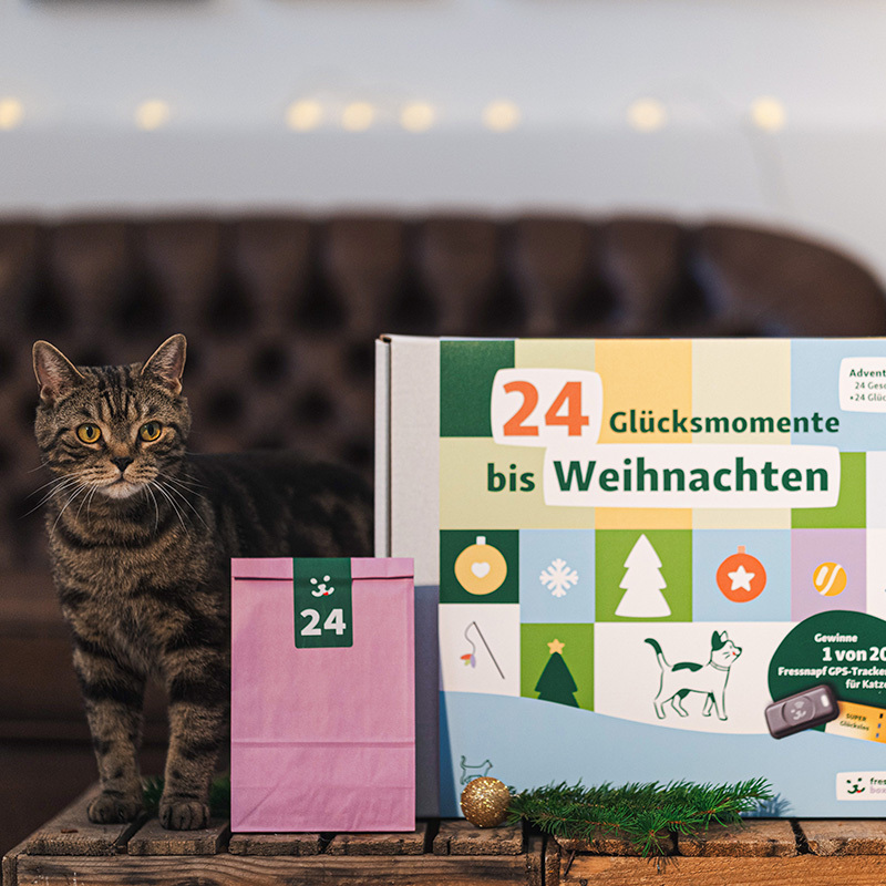 Fressnapf Nassfutter Fressnapf Adventskalender Katze