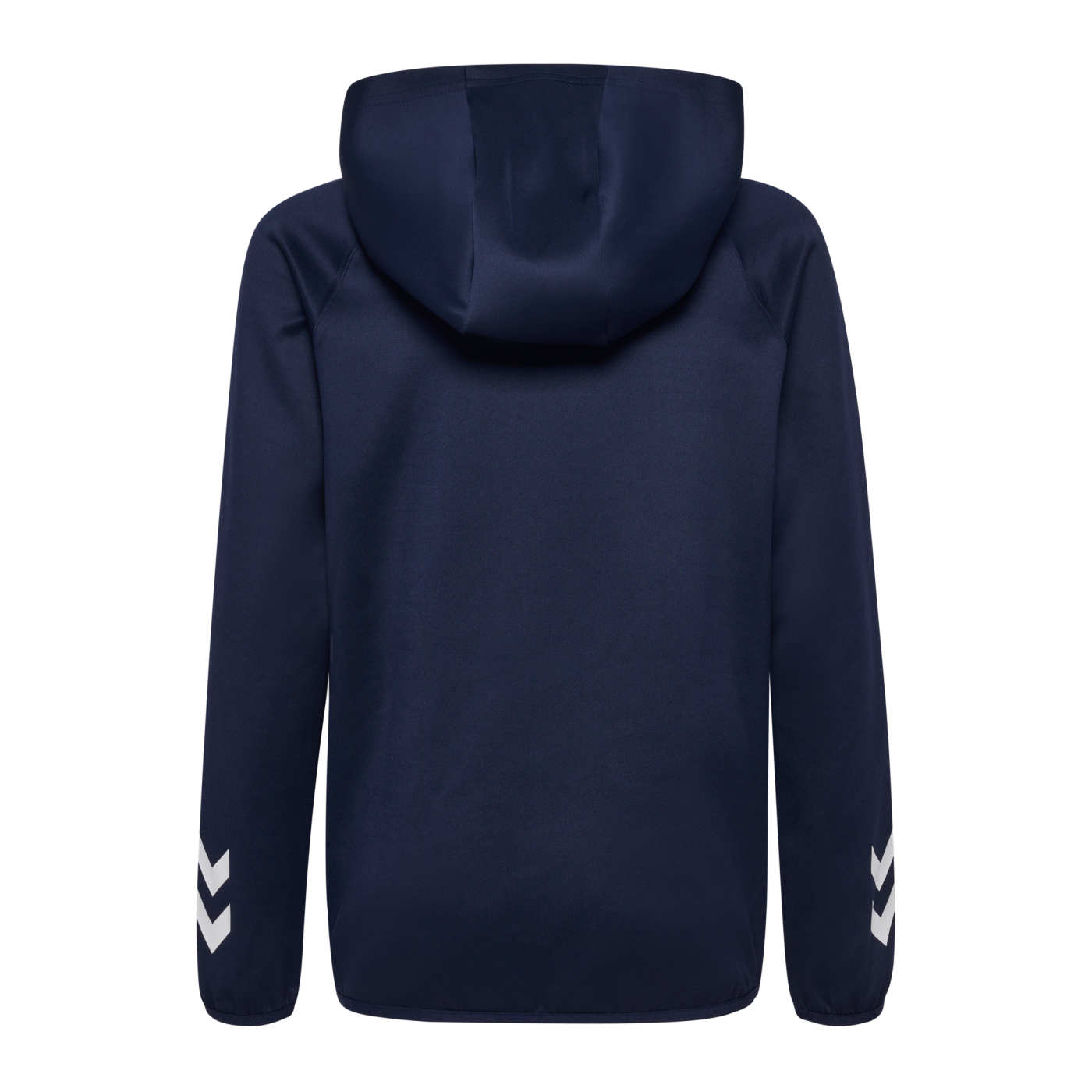 Hummel Dänemark Travel Hoody EM 2024 Kids Blau F7026