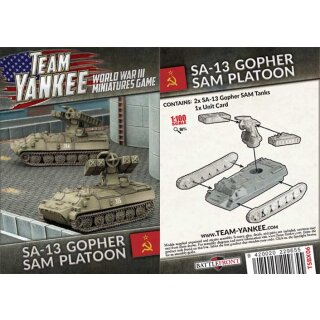 SA-13 Gopher (2)