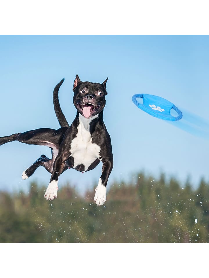 relaxdays 10tlg. Hundespielzeug Set günstig kaufen onesize