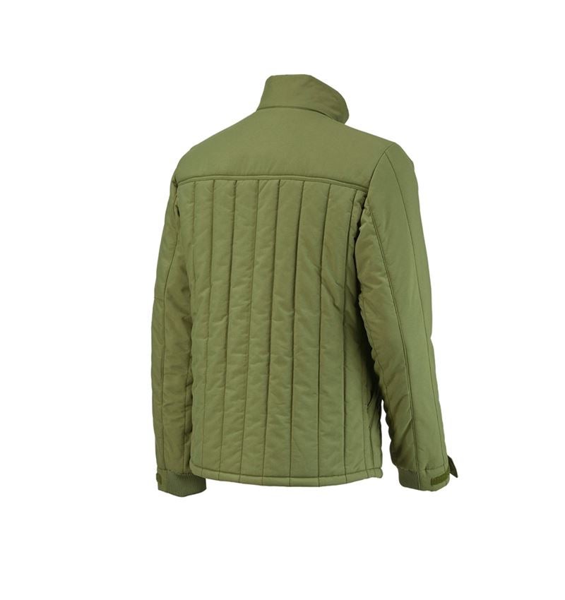 Allseason Jacke e.s.iconic