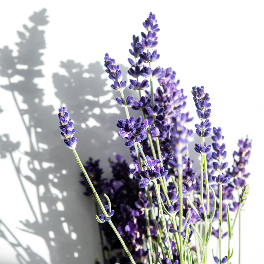 Korres RELAXING LAVENDER Spray 100 ml