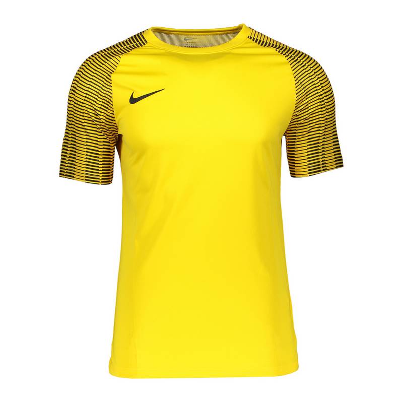 Nike Academy Trikot Trikot
