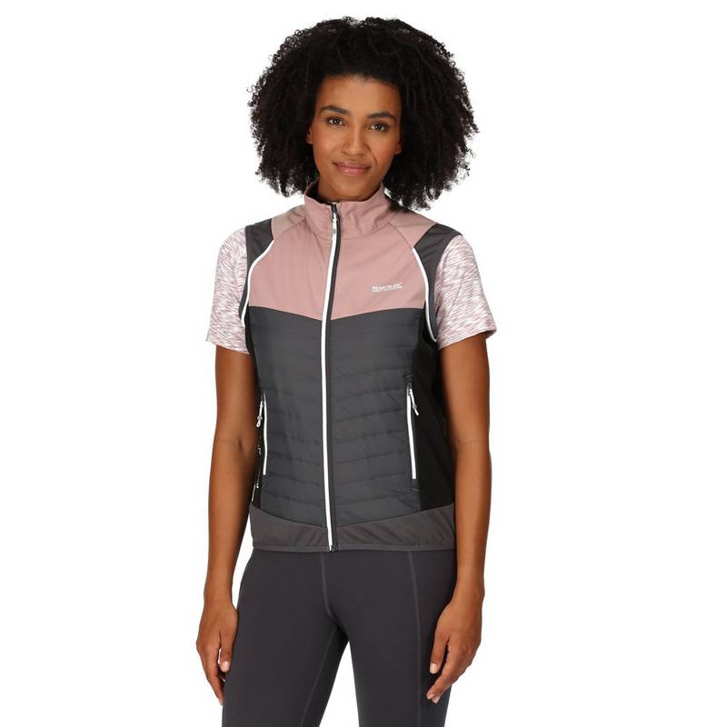 Regatta Steren Outdoorjacke Damen