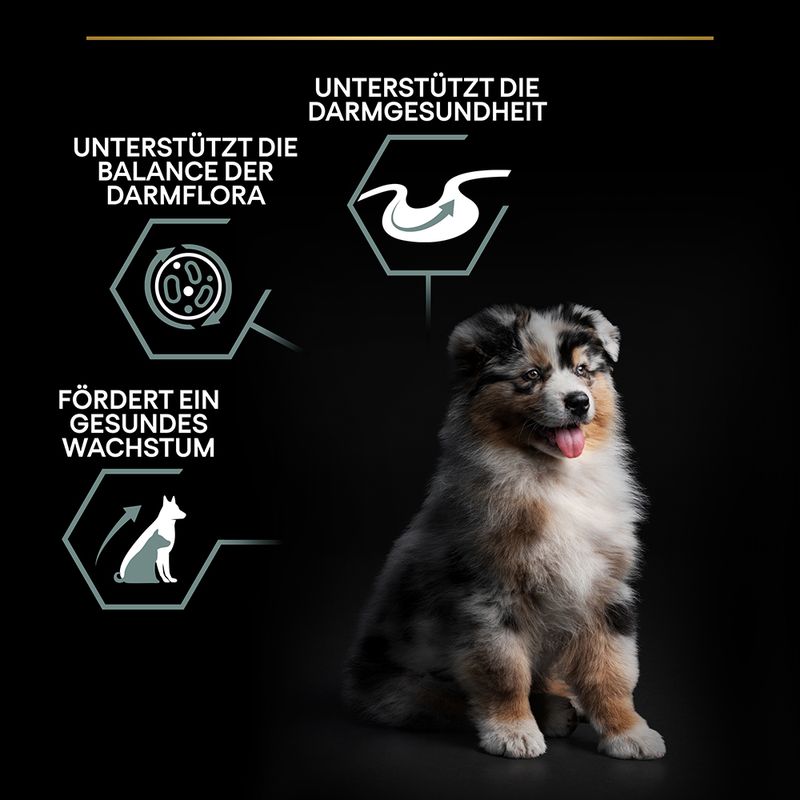 PURINA PRO PLAN Medium Puppy Lamm & Reis Sensitive Digestion