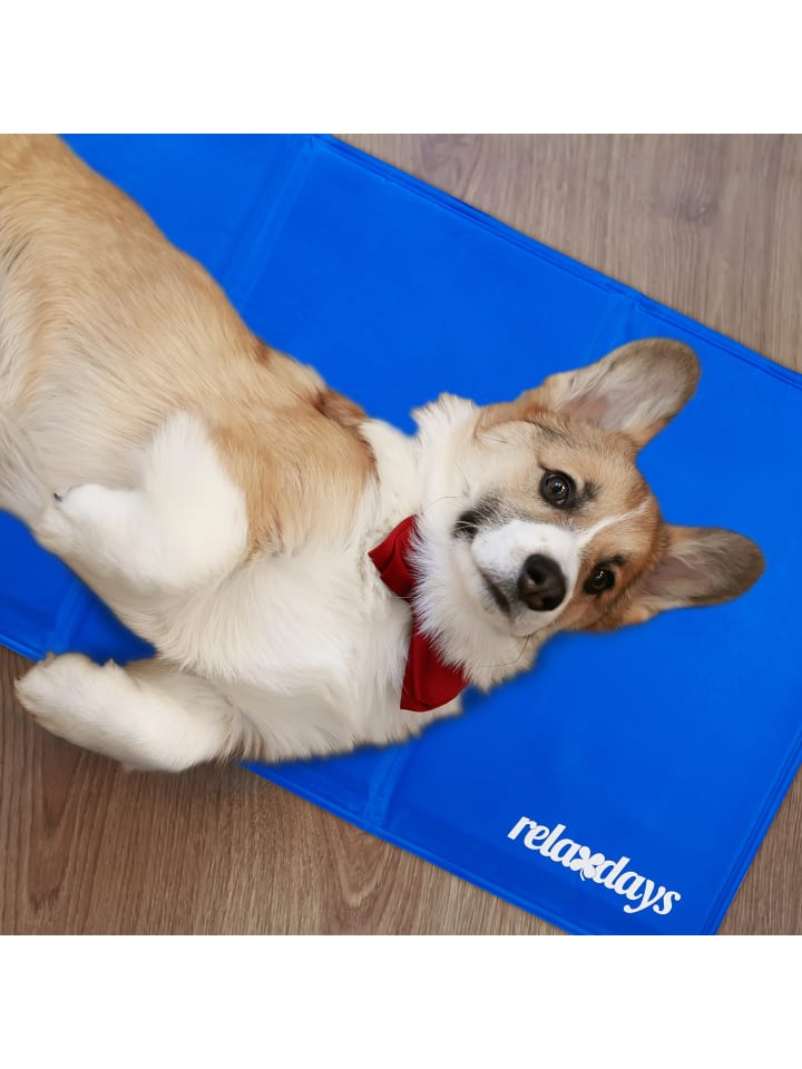 relaxdays Kühlmatte Hund in Blau - (B)50 x (T)90 cm günstig kaufen onesize
