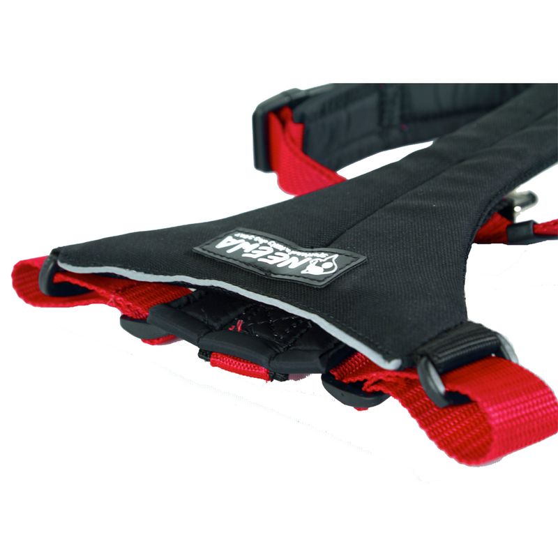 NEEWA Running Harness rot zu TOP-Preisen % bei bitiba.de