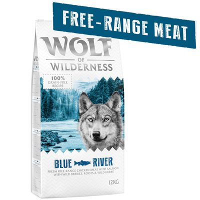 Wolf of Wilderness Adult 