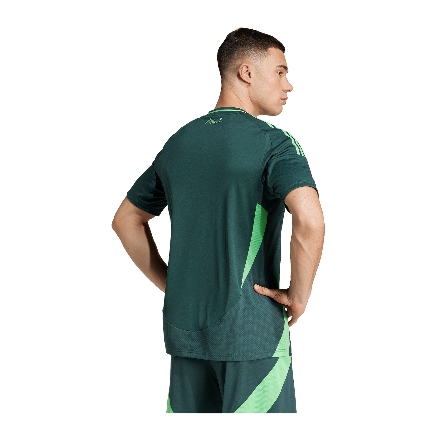 adidas Algerien Trikot Away 2024 Grün