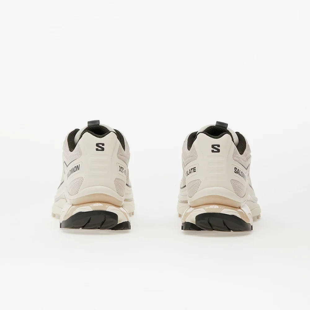 Salomon XT Slate Rainy Day 470502 / braun
